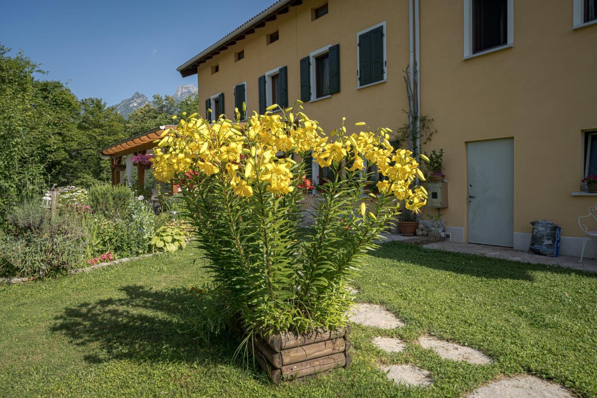 Casa Edith Libano Exterior photo